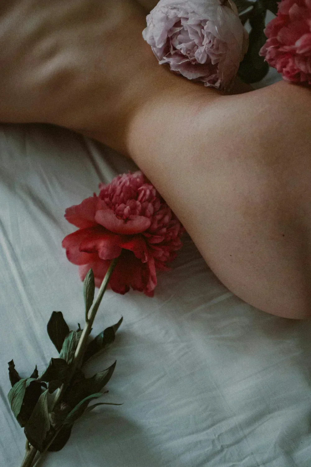 How to Talk About Sexual Health Without Awkwardness