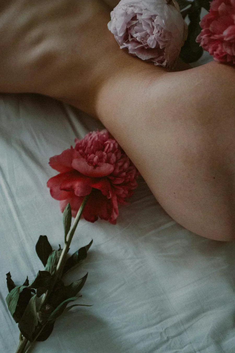 How to Talk About Sexual Health Without Awkwardness